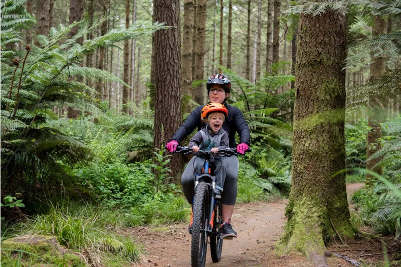 Ride Shotgun Kids Mountain Bike Seat-3